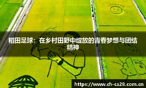 稻田足球：在乡村田野中绽放的青春梦想与团结精神