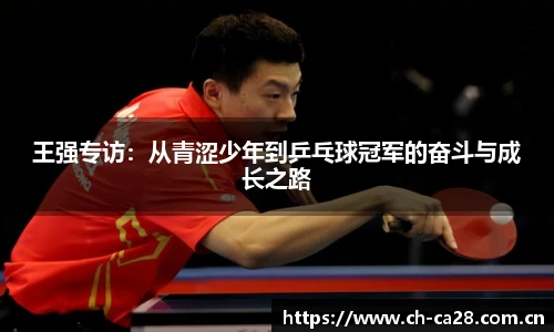 加拿大28